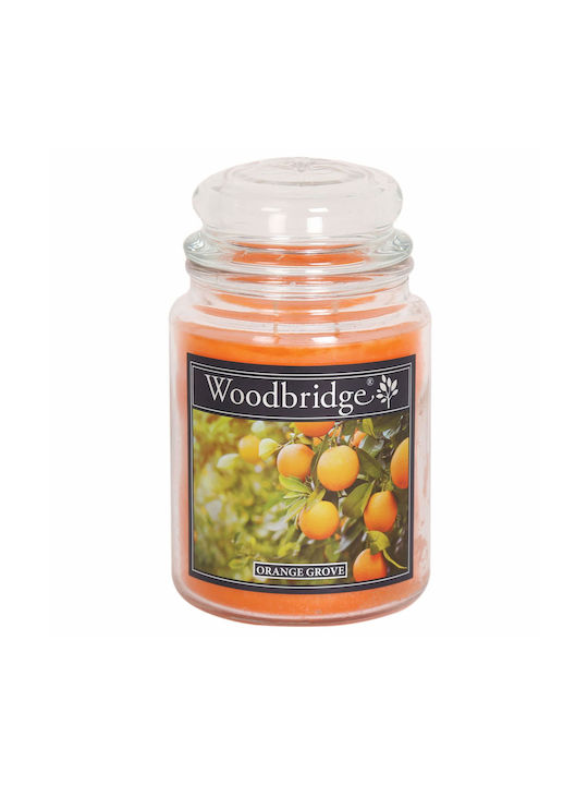 Relaxdays Aromatic Candle with Orange Perfume 17x10cm