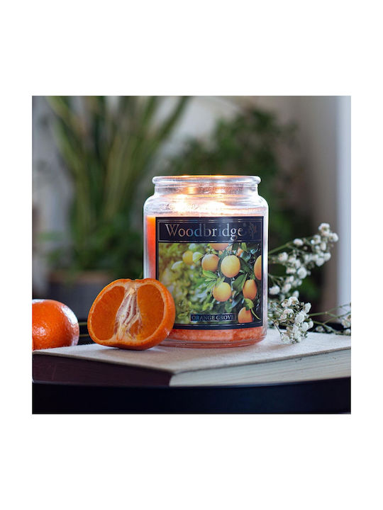 Relaxdays Aromatic Candle with Orange Perfume 17x10cm