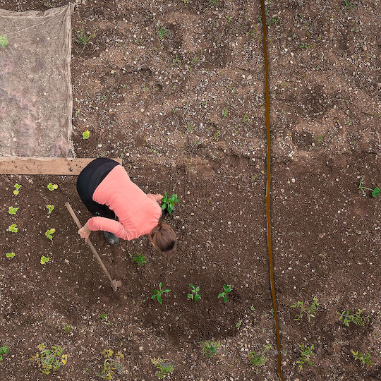 Relaxdays Gartenschlauch Bewässerung 30m