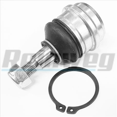 Vorderes System Für Auto Reinweg Rw70334