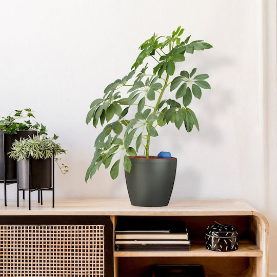 Set 4 Bile Ceramice De Udat Pentru Plante În Ghiveci