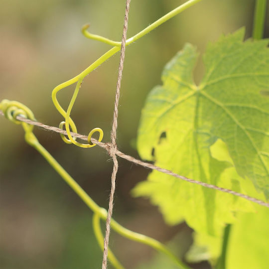 Plasă De Susținere Pentru Plante Din Iută 2x3m Naturală