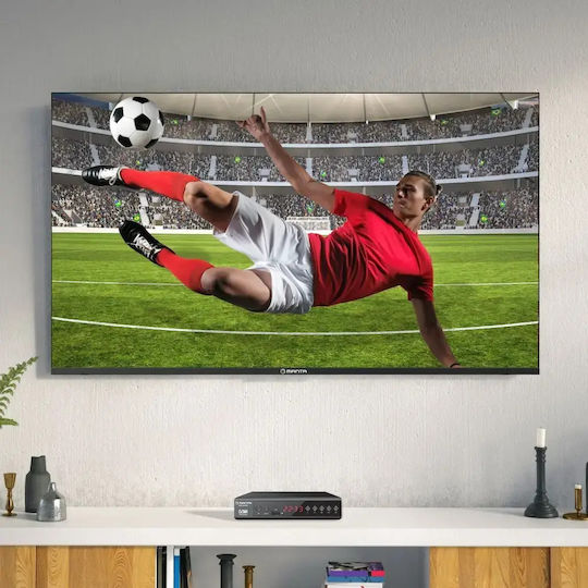Manta DVBT025PRO Ψηφιακός Δέκτης Mpeg-4 Σύνδεσεις SCART / HDMI / USB