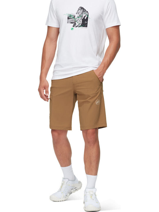 Mammut Runbold Pantalon Lung de Drumeție pentru Bărbați Maro
