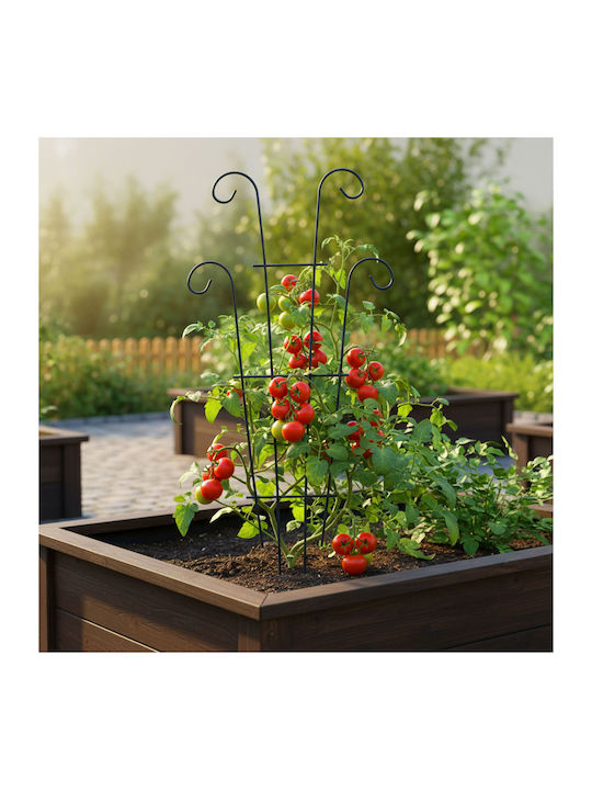 Trellis De Grădină Negru 60x30cm