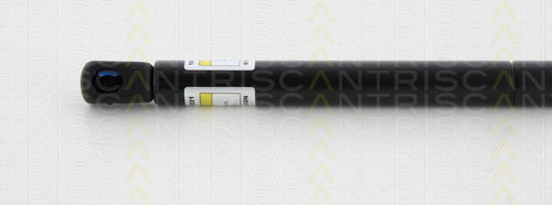 Triscan Kofferraum-Schock 8710 17102