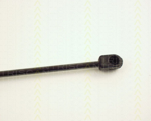 Triscan Kofferraum-Schock 8710 24104
