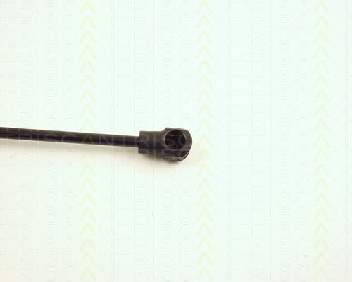 Triscan Kofferraum-Schock 8710 27103