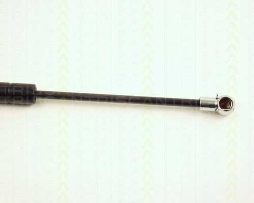 Triscan 8710 23204 Trunk Shock Absorber