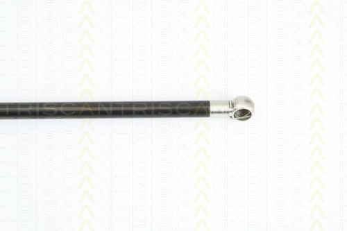 Triscan 8710 15236 Trunk Shock Absorber