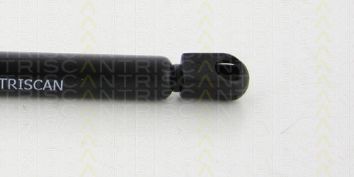 Triscan 8710 292015 Kofferraum-Schock