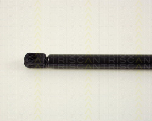Triscan 8710 29243 Amortizor Portbagaj