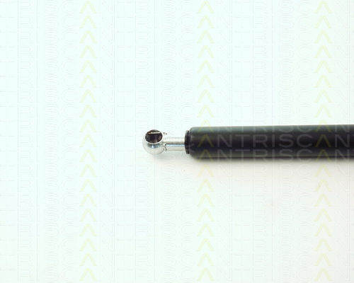 Triscan 8710 11216 Trunk Shock Absorber