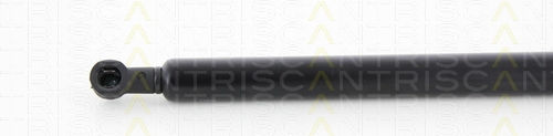 Triscan 8710 25261 Trunk Shock Absorber