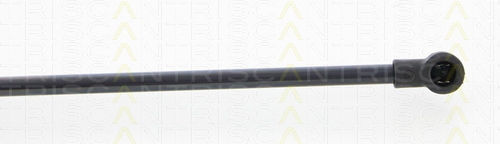 Triscan 8710 25256 Trunk Shock Absorber