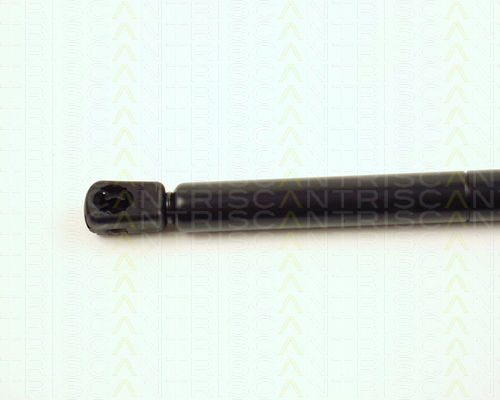 Triscan Hood Shock Absorber 8710 16104