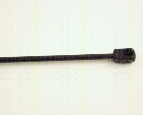 Triscan 8710 24205 Kofferraum-Schock