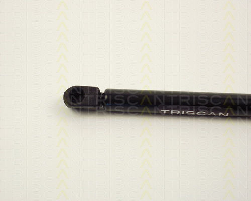 Triscan 8710 2411 Амортисьор За Багажник