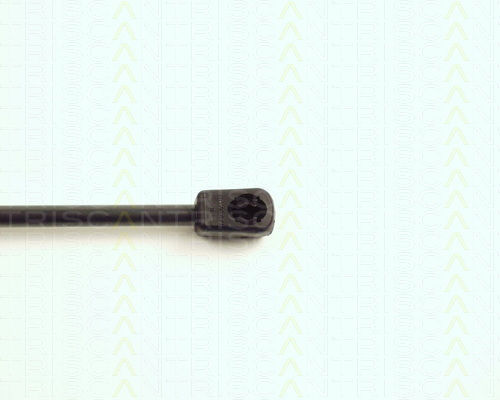 Triscan 8710 16232 Trunk Shock Absorber