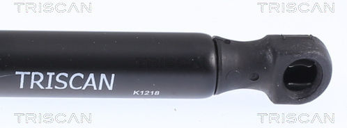 Triscan 8710 14221 Trunk Shock Absorber