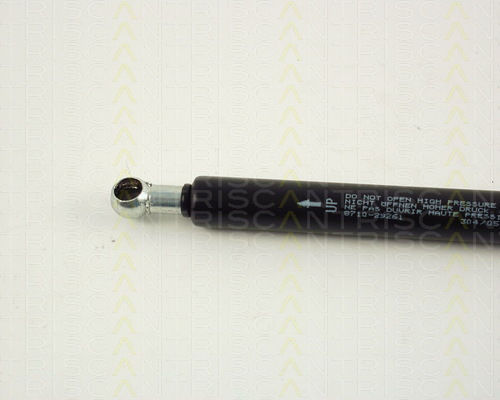 Triscan 8710 29261 Trunk Lid Shock Absorber