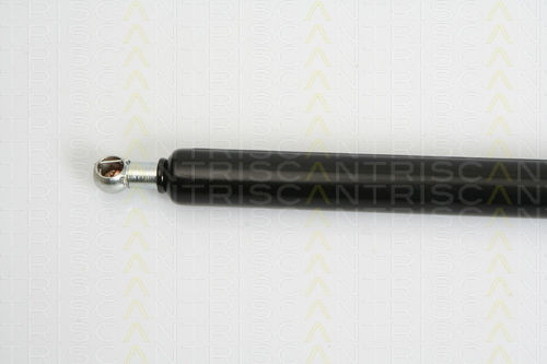 Triscan 8710 38225 Kofferraum-Schockabsorber