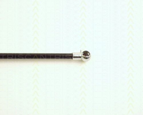 Triscan Trunk Shock Absorber 8710 25209
