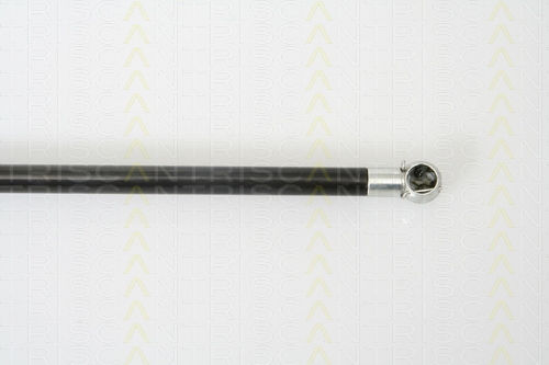 Triscan 8710 25230 Kofferraum-Schockabsorber