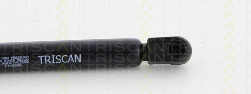 Triscan 8710 23229 Trunk Shock Absorber