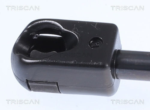 Triscan 8710 25242 Trunk Shock Absorber
