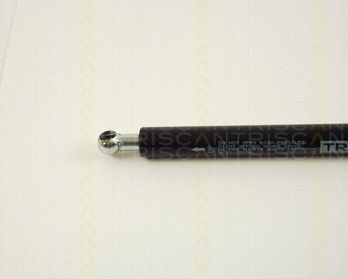Triscan 8710 29236 Амортисьор За Багажник