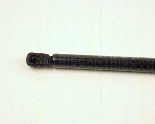 Triscan 8710 25210 Амортисьор За Багажник