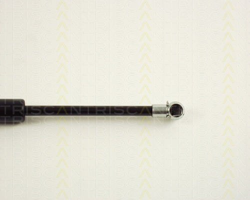 Triscan Trunk Shock Absorber 8710 29237