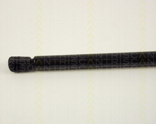 Triscan 8710 29217 Kofferraumhauben-Dämpfer