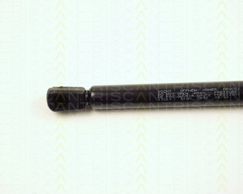 Triscan 8710 15225 Amortizor Portbagaj