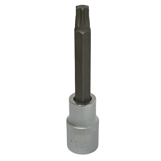 Long Walnut with Torx Head and Socket 1/2'' Size T50x100mm 1pcs