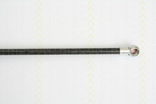 Triscan 8710 16245 Trunk Shock Absorber