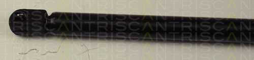 Triscan 8710 15219 Trunk Shock Absorber