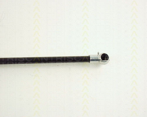 Triscan Trunk Shock Absorber 8710 29262