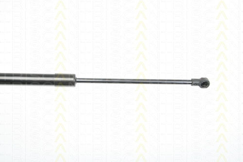 Triscan 8710 29281 Kofferraum-Schock Absorber