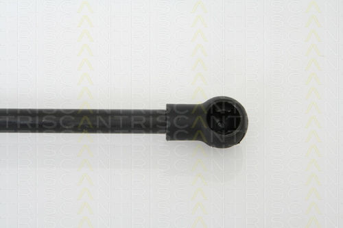 Triscan Hood Shock Absorber 8710 11110