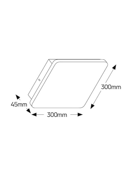 Geyer Modern Leuchte Wand mit Integrierter LED und Warmweißes Licht 30x30cm
