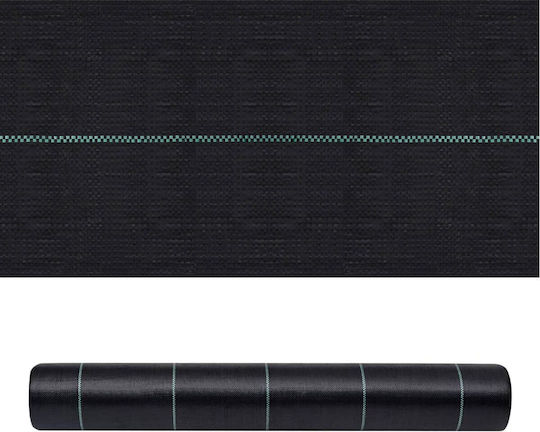 Grasher 22302256 Ύφασμα Εδαφοκάλυψης 100gr/m² 2x100m Μαύρο