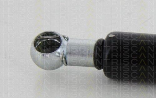Triscan Trunk Shock Absorber 8710 10217