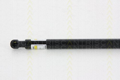 Triscan Trunk Shock Absorber 8710 13275