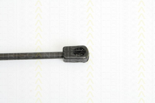 Triscan 8710 11225 Амортисьор За Багажник