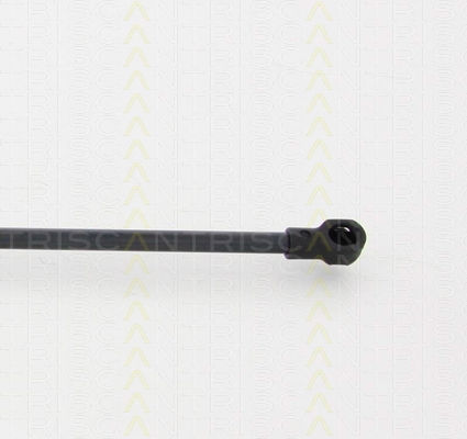 Triscan 8710 17219 Trunk Shock Absorber