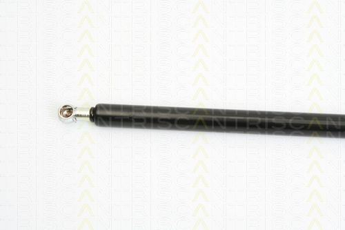 Triscan 8710 24232 Trunk Shock Absorber
