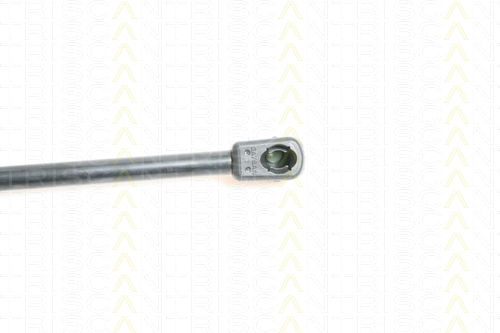 Triscan 8710 50234 Kofferraum-Schockabsorber