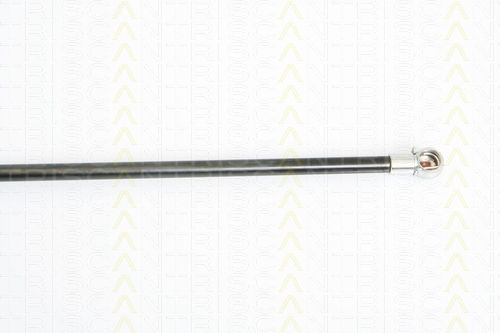 Triscan 8710 24232 Trunk Shock Absorber